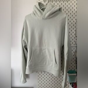 Aritzia Cozy Fleece Perfect Hoodie